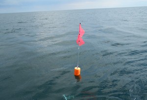 Trapnet buoy example for Harbor Beach research fishery