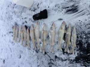 Saginaw Bay 2/6/2013