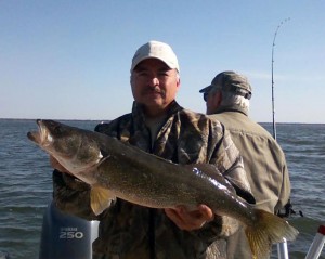 walleye-2013